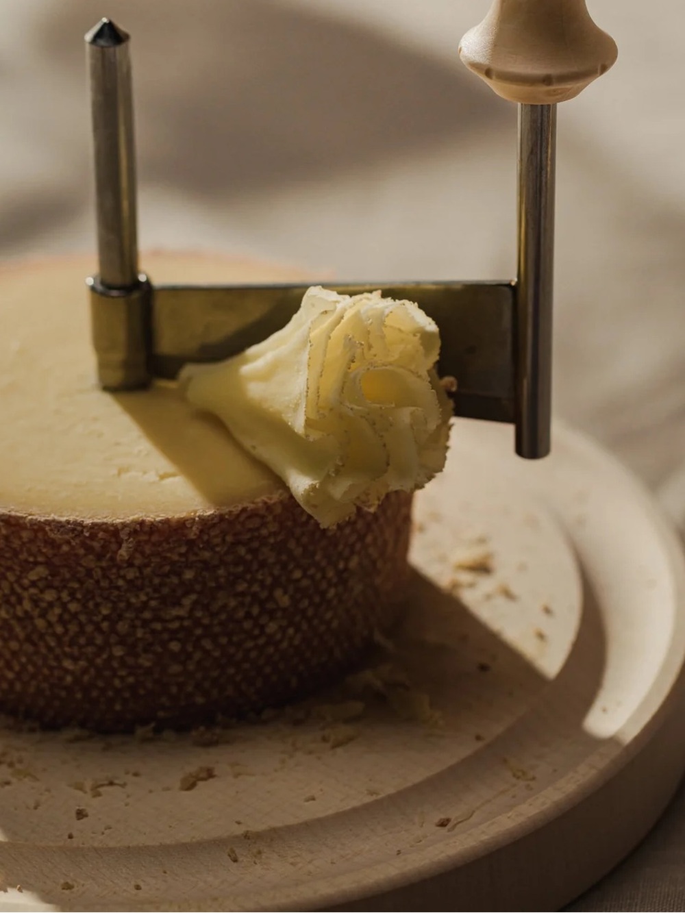 Artisan Cheese Curler - Cream Cheese Wheel Shaver